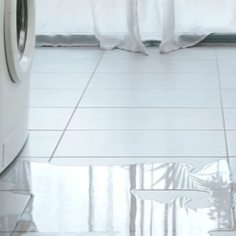 Appliance Leak Cleanup in Henderson, LA