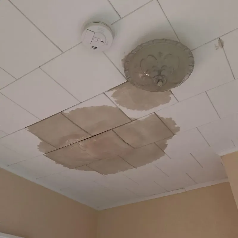 Ceiling Water Damage Repair in Henderson, LA